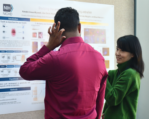 A fellow in a crimson button-down shirt scratches the back of his head while another fellow in a green sweater talks about a research poster in front of both of them